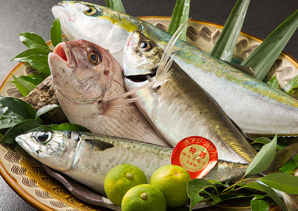 鮮魚集合